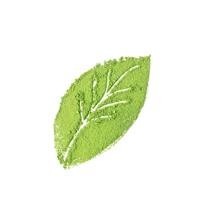 Matcha Latte Green Tea Powder - Organic